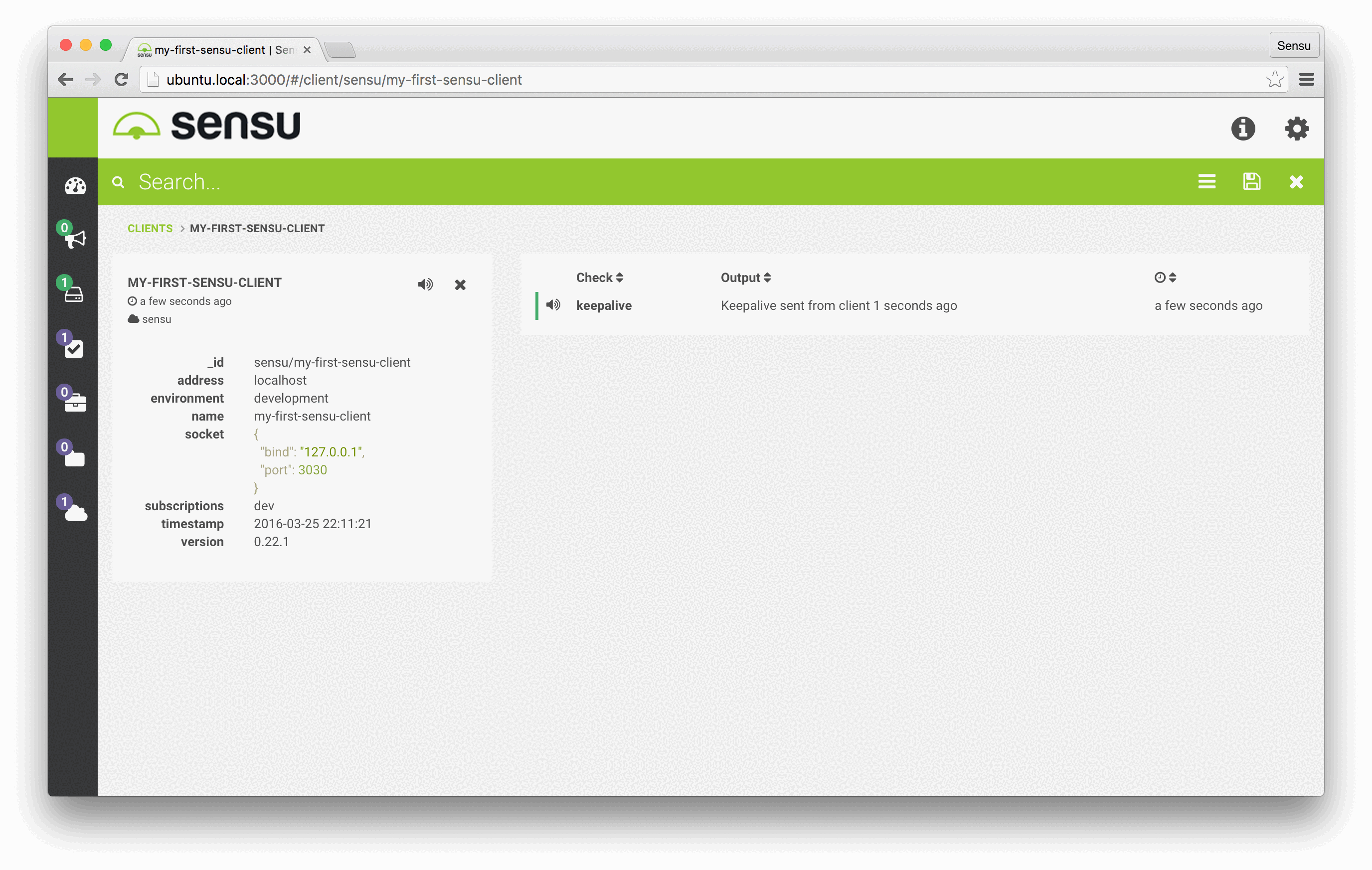 Detail page for first Sensu client in Enterprise Dashboard